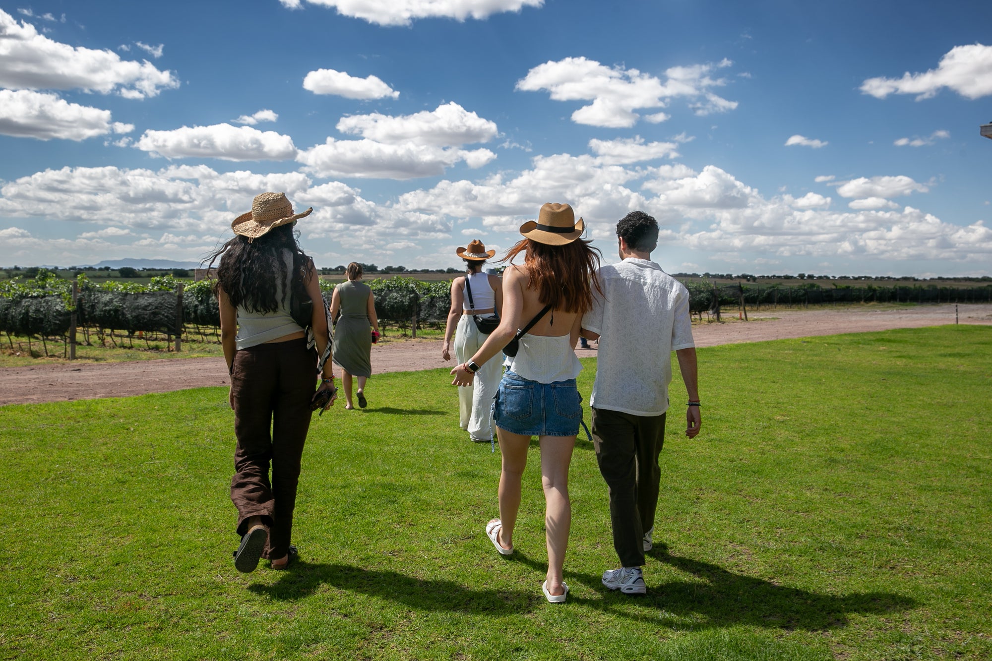 Paseo con Cata 3 Vinos Crianza