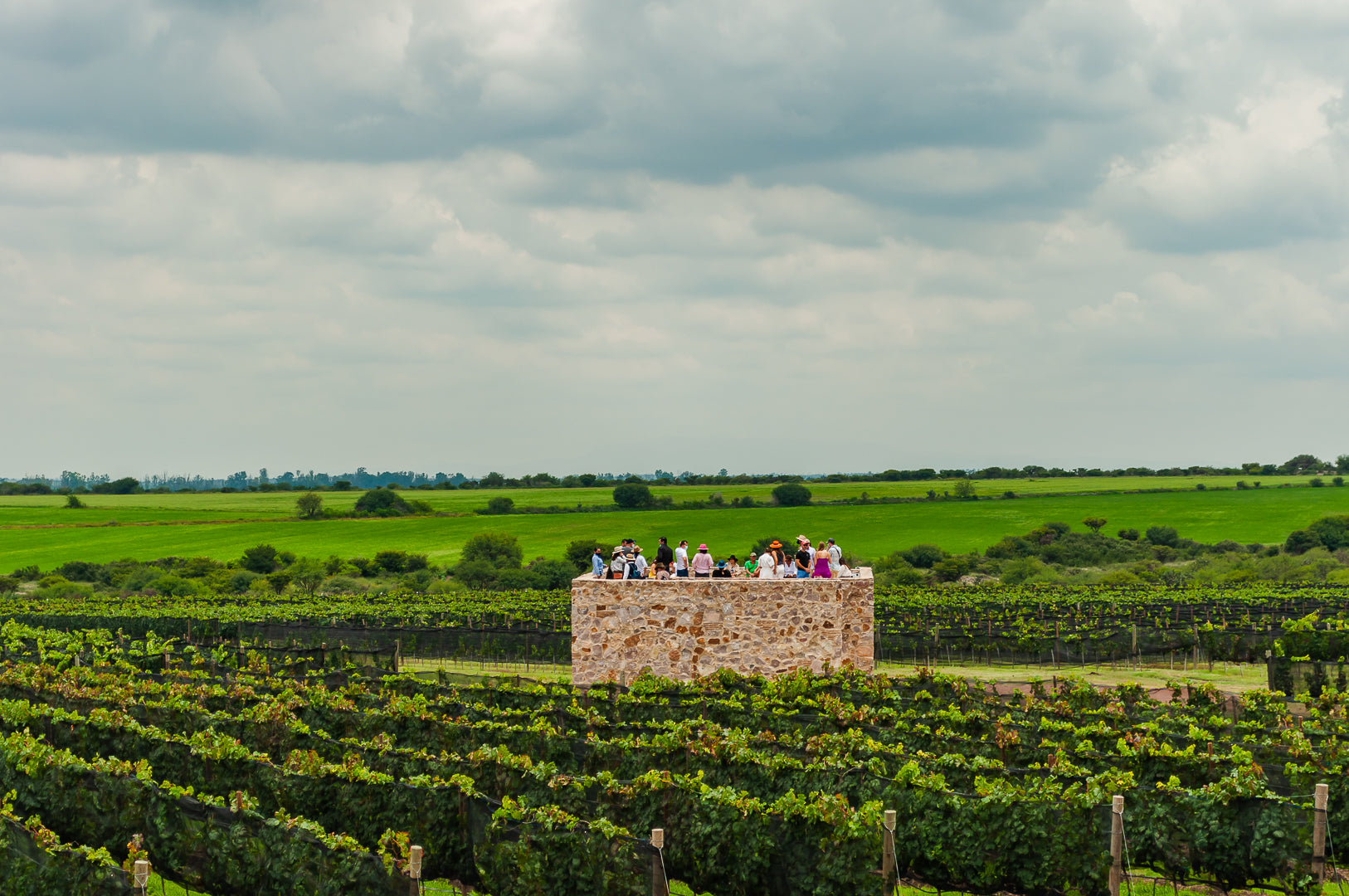 Paseo con Cata Premium 5 Vinos