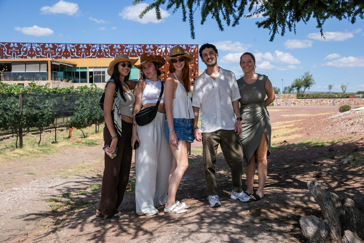 3-Course Wine Pairing & Vineyard Tour