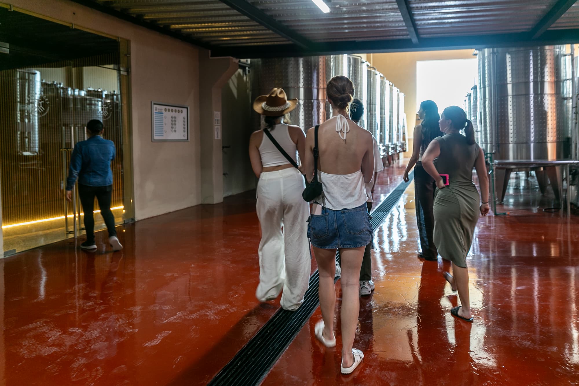Paseo con Cata 3 Vinos Premium