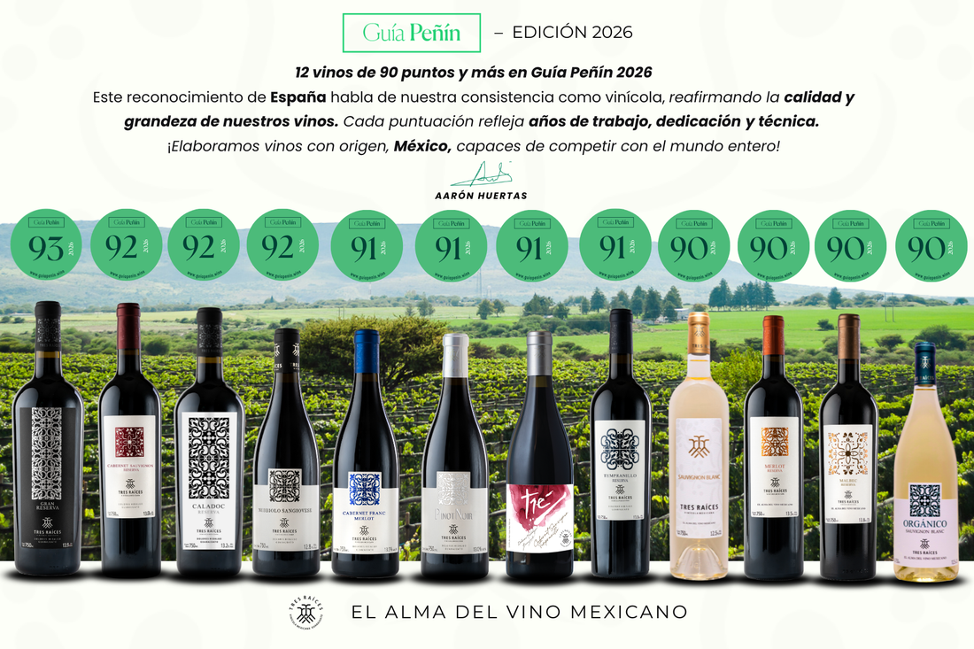 Tres Raíces se consolida como la mejor vinícola puntuada en el estado de Guanajuato y una de las mejores de México en Guía Peñín 2026