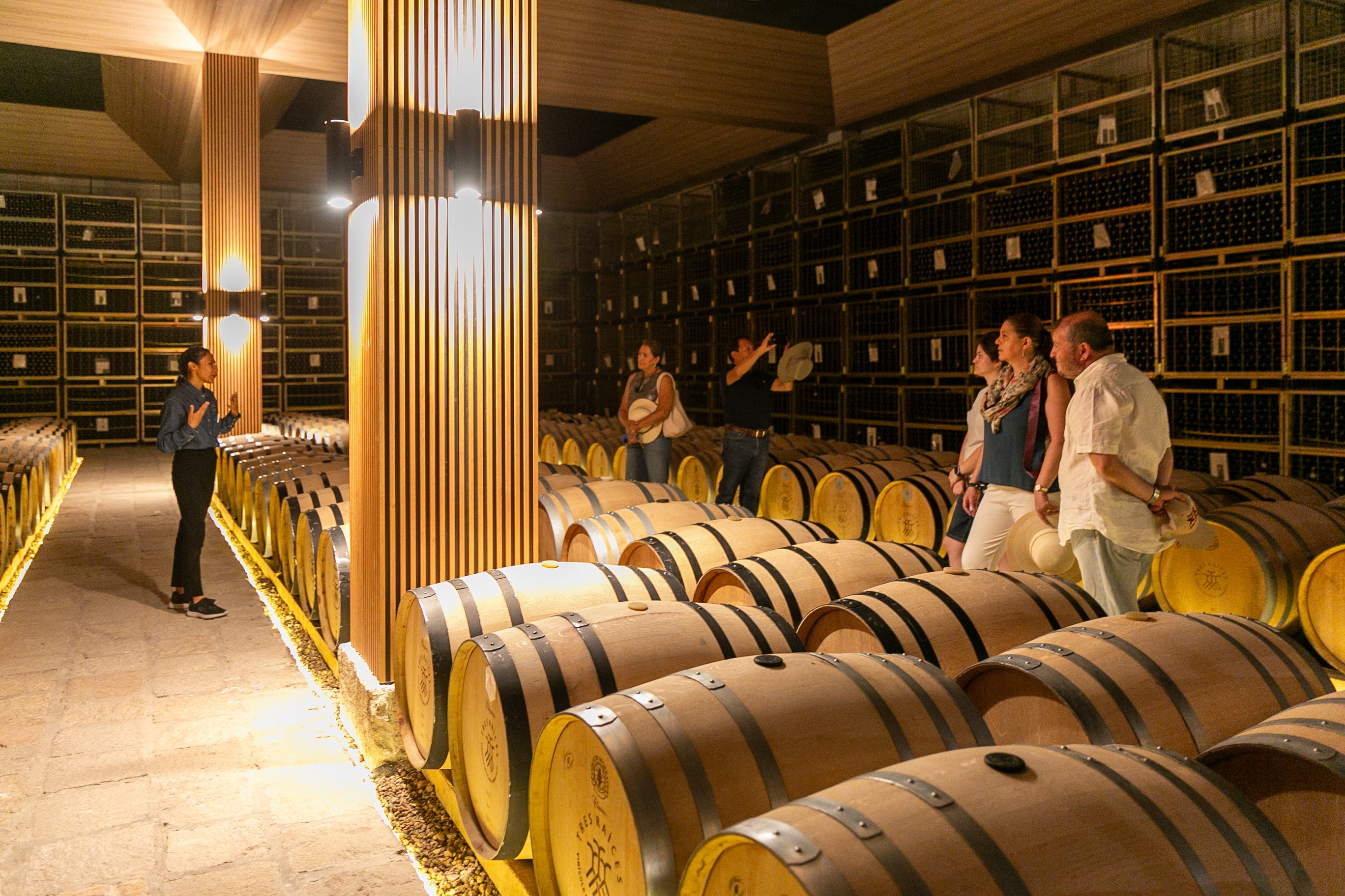 Paseo con Cata 3 Vinos
