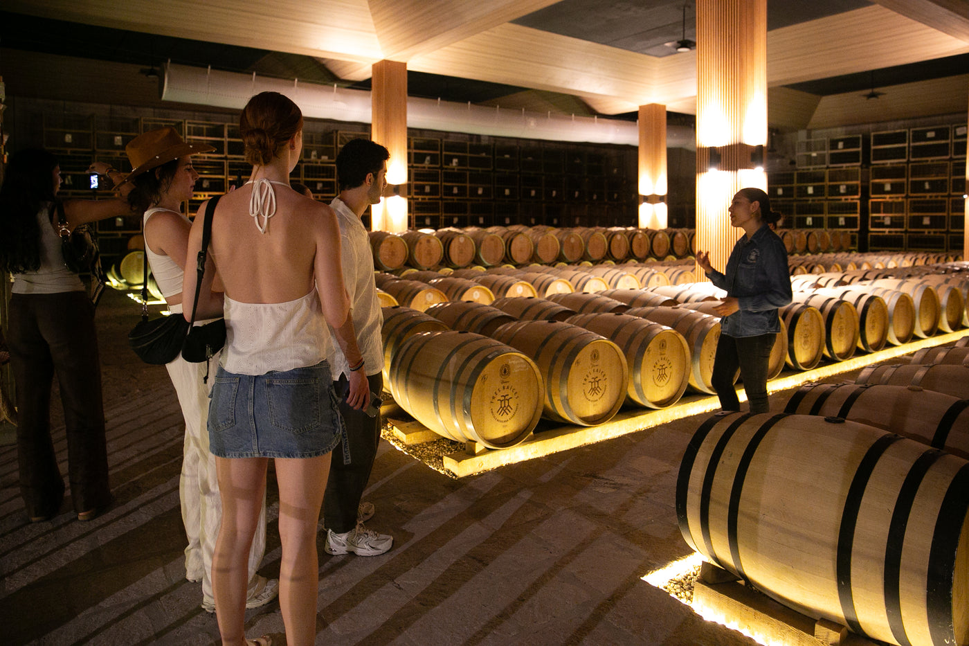Paseo con Cata 3 Vinos Crianza