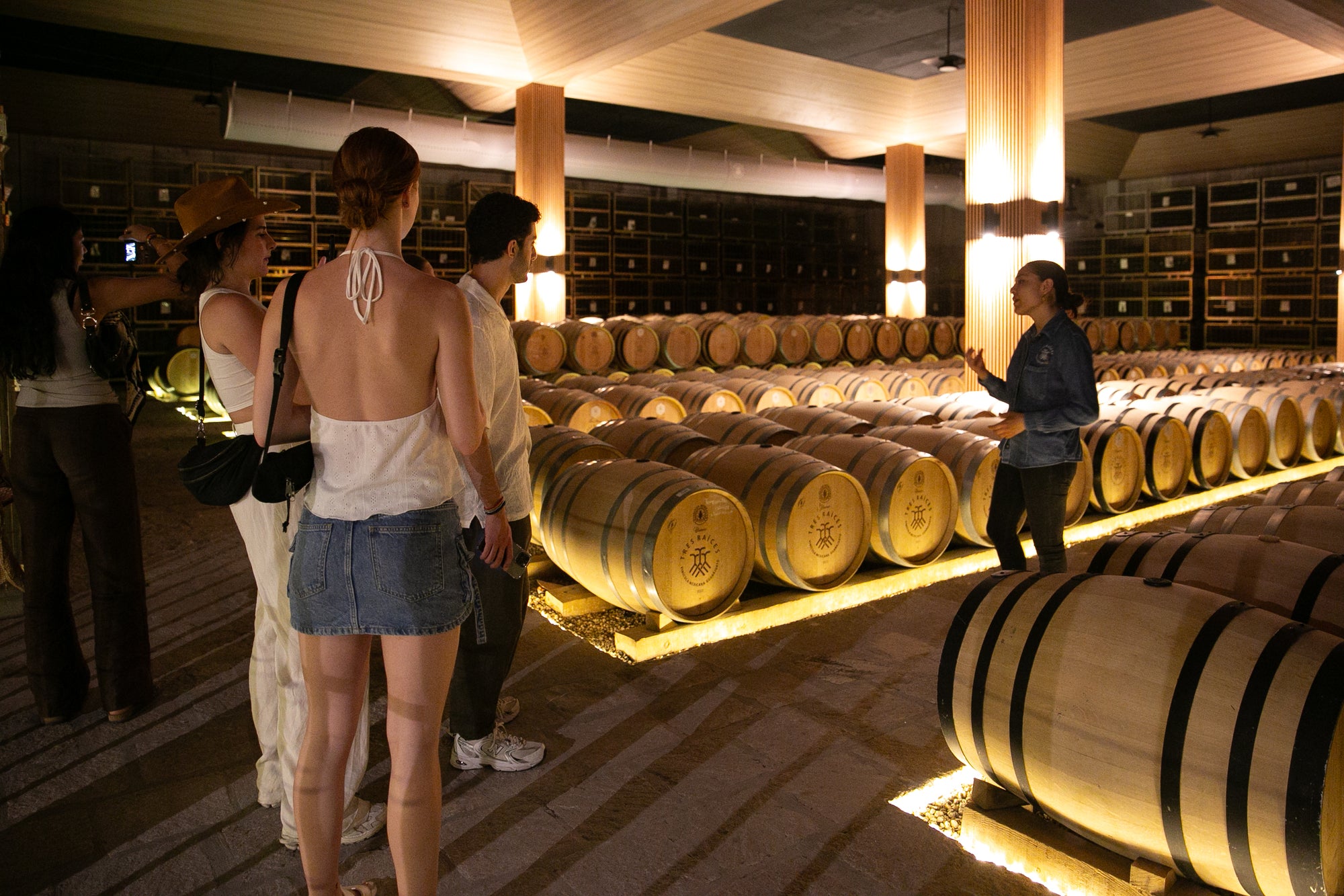 Paseo con Cata 3 Vinos Crianza