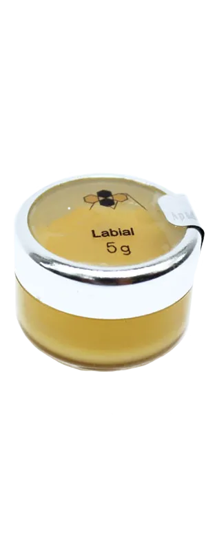 Labial