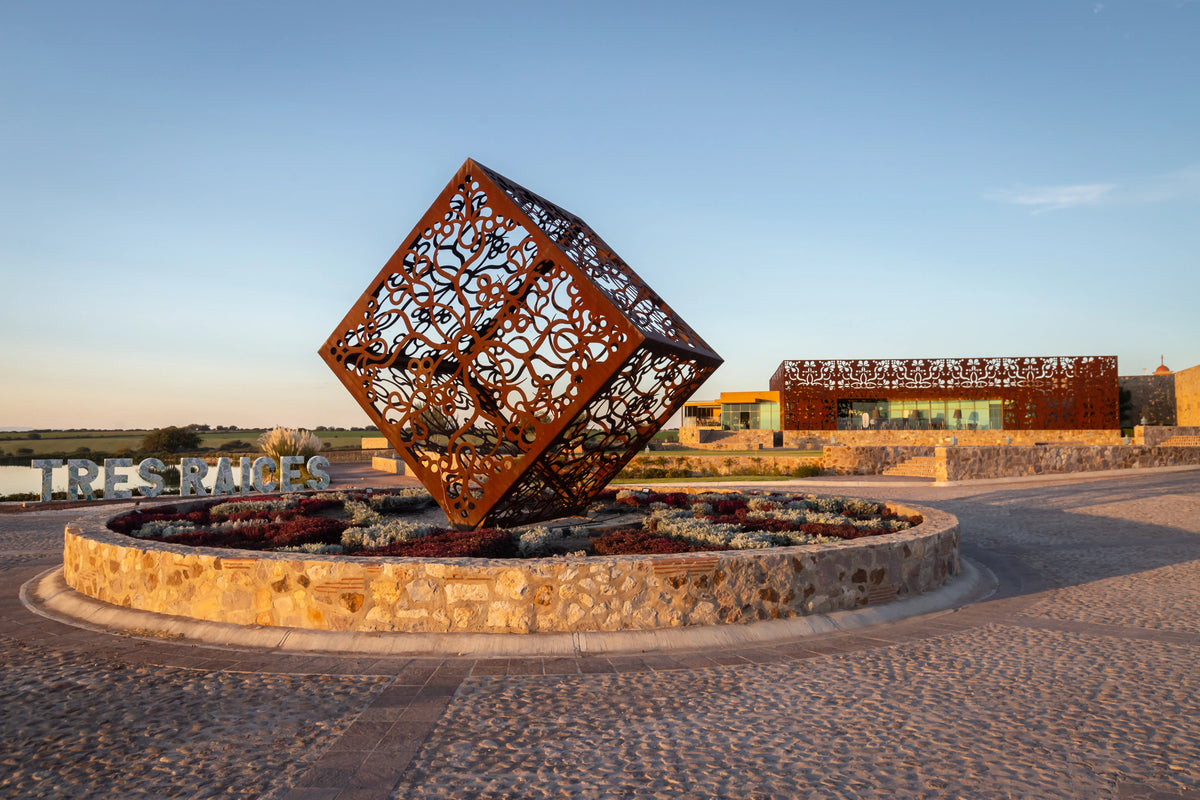 Galería Tres Raíces