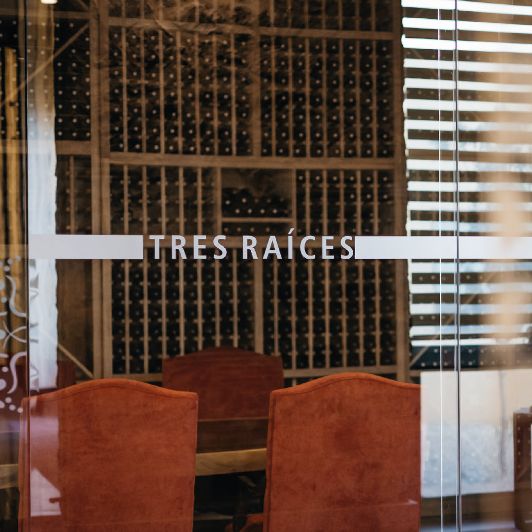 Galería Tres Raíces